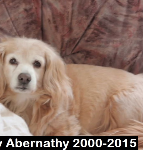 Baby Abernathy 2000-2015